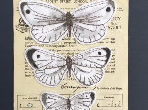 Embroidered butterfly paper picture A