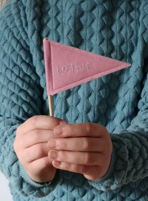 Custom mini pennant flag