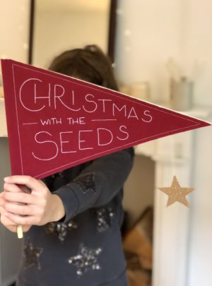 Personalised pennant tree topper white on red