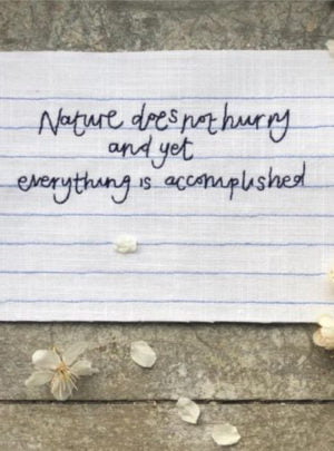 Commonplace collection – Nature does not hurry