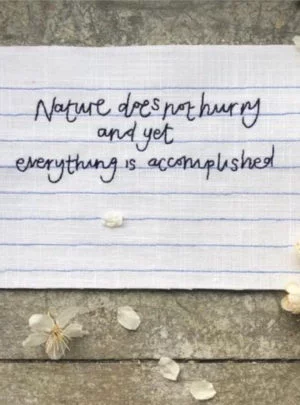 Commonplace collection – Nature does not hurry